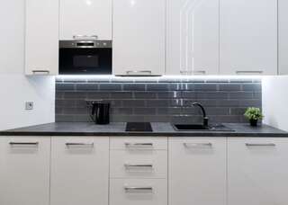 Апартаменты VIP Exciting apartment Lviv Fireplace Львов Апартаменты с 1 спальней-12